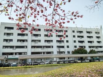 Organization structure